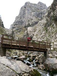PUENTE ZARDO